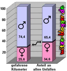 Frauen am Steuer