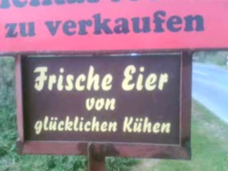 Frische Eier von glücklichen Kühen?