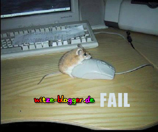 2 Mäuse