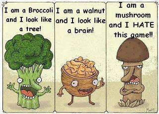 Broccoli & Walnuss & Pilz